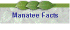 Manatee Facts