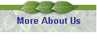 More About Us